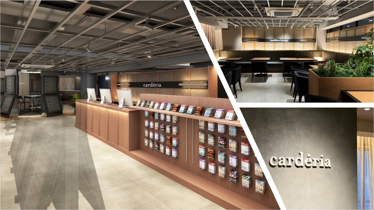 cardéria, cardéria lounge