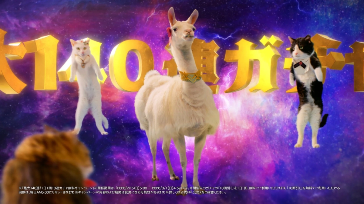 首輪をつけたラマと直立した2匹の猫