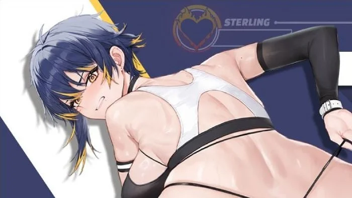 スターリング「ダイエットは戦いだ：肉弾戦用ジャージ」