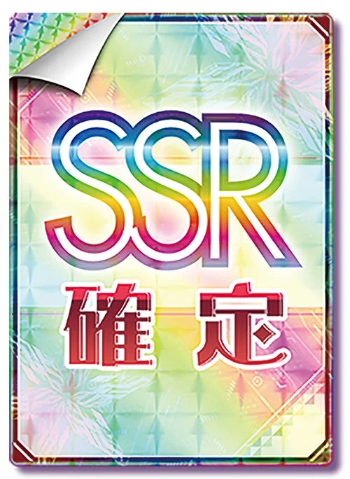 SSR確定書