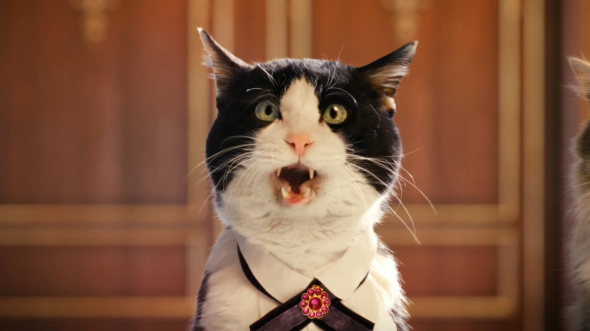 白い襟と装飾的なブローチを身につけた黒と白の猫