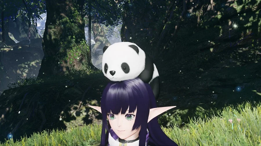 頭乗り子パンダのキャラクター