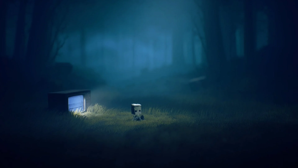 森の中のモノとテレビ