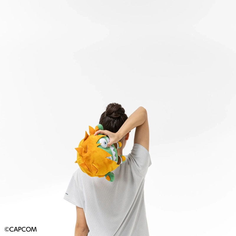 ブランカちゃん人形トレーニングイメージ