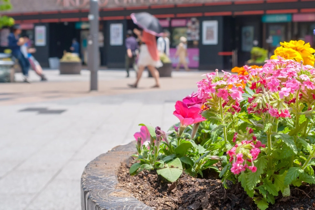 植栽活動の様子