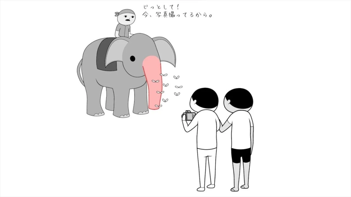 象と観光客の撮影