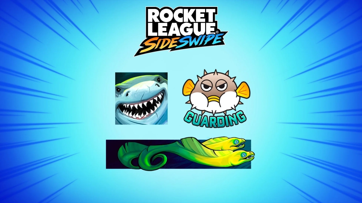 ROCKET LEAGUE SIDESWIPE GUARDING