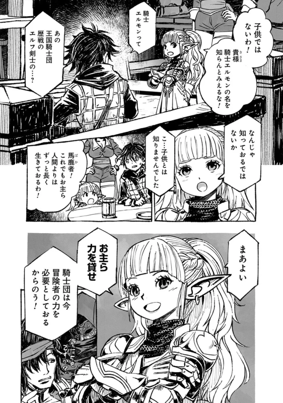 騎士団からの依頼