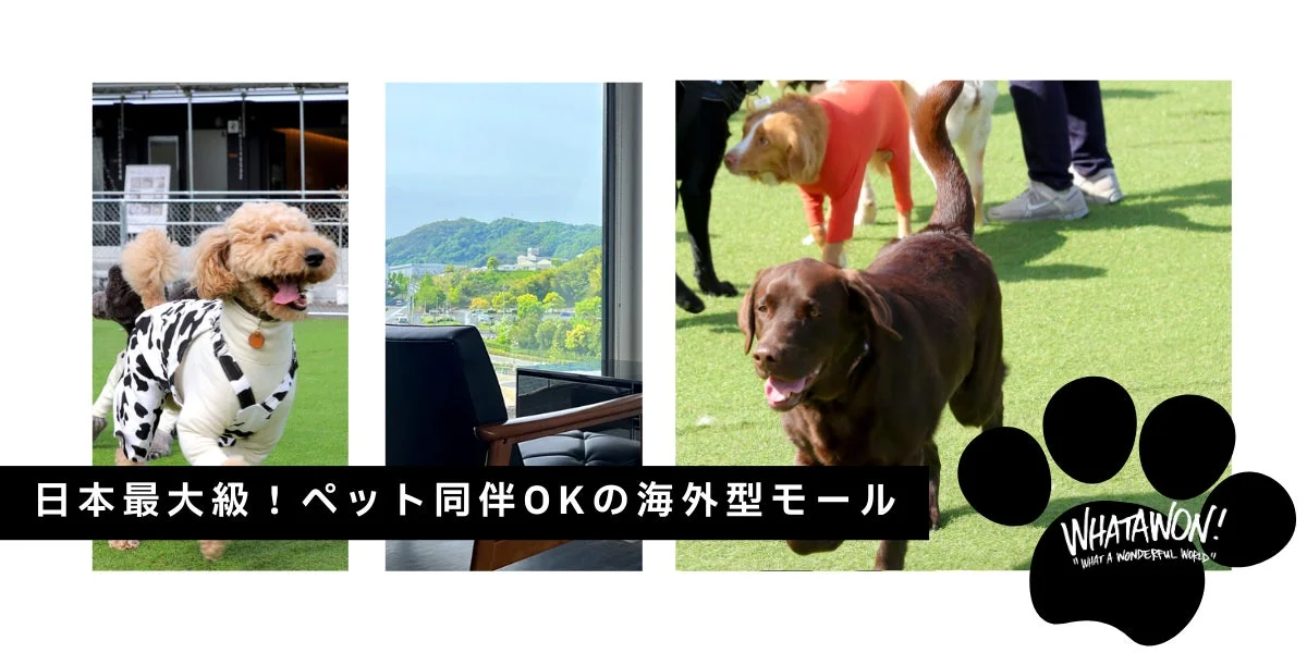 日本最大級ペット同伴OKの海外型モール WHATAWON