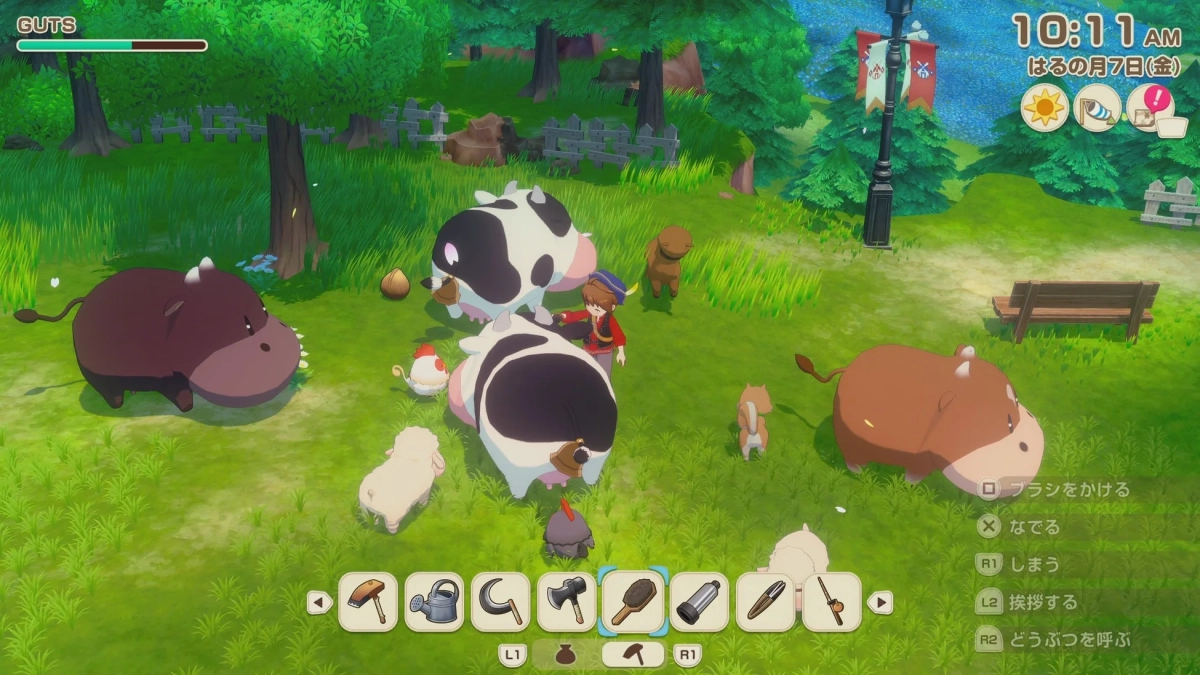 動物のお世話