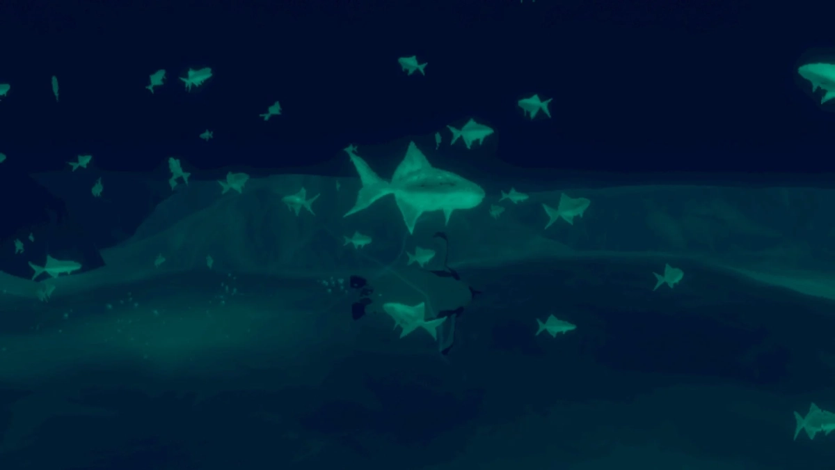 水中、魚、サメ