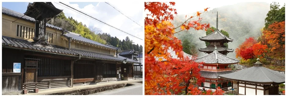伝統的な日本家屋の街並みと紅葉