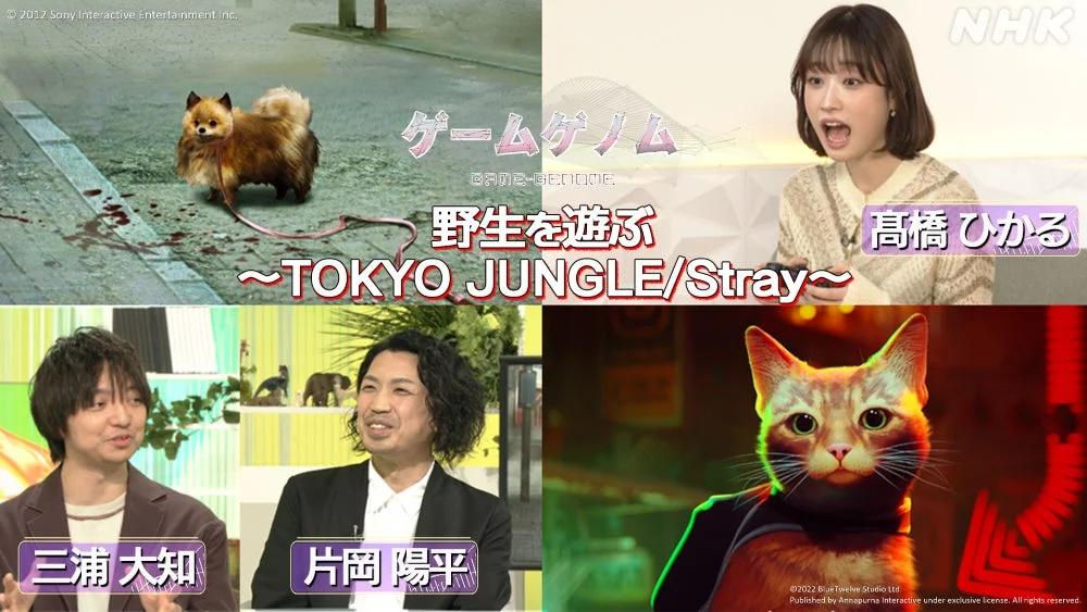 「野性を遊ぶ~TOKYO JUNGLE/Stray~」エピソード