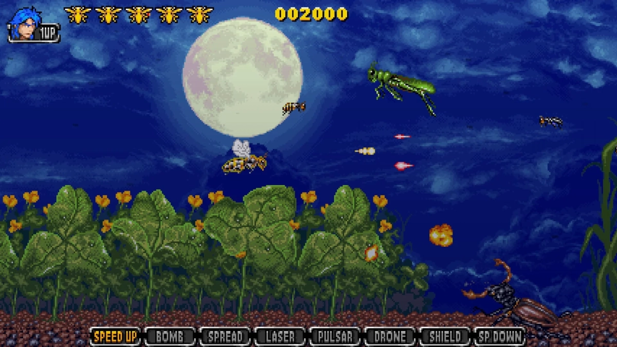 ゲーム画面、夜空の昆虫