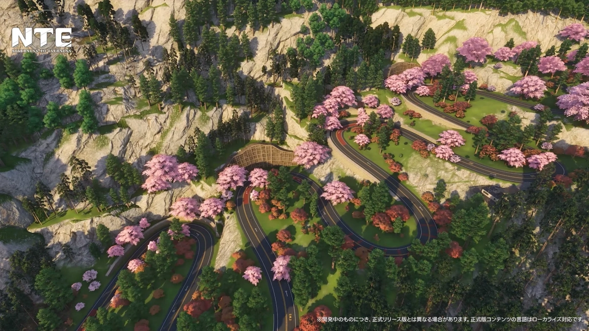 桜が咲き誇る山間のワインディングロード