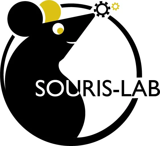 SOURIS-LABのロゴ