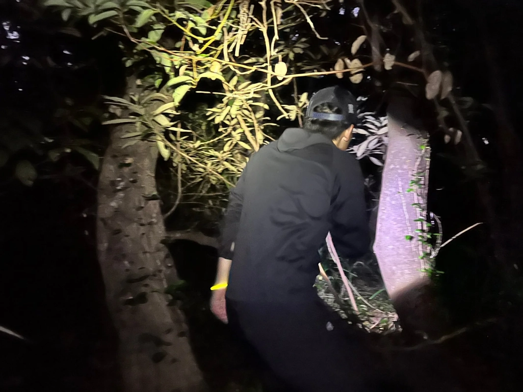 夜の森を懐中電灯で進む人物