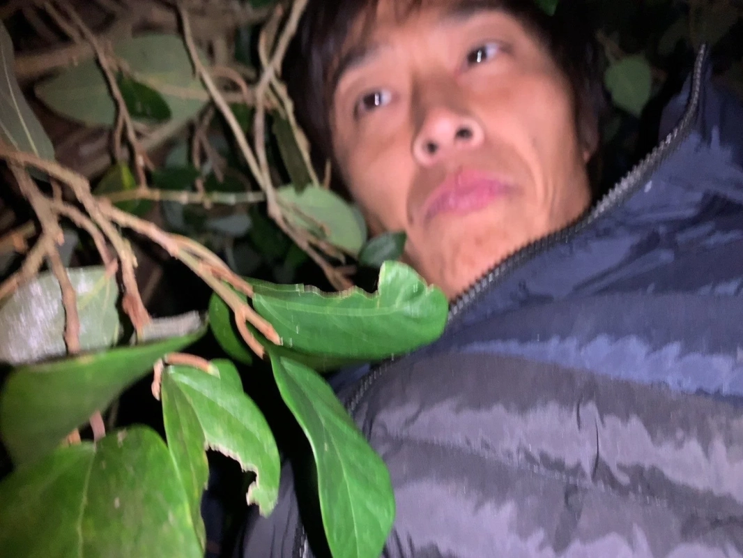 暗闇の葉に囲まれた男性
