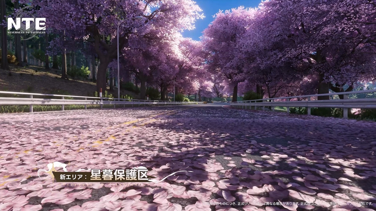 桜並木が続く美しい道