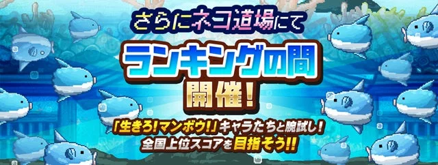 ランキングの間