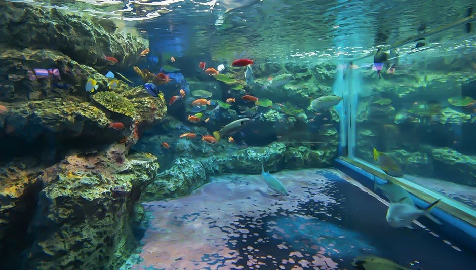 水族館内部